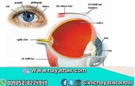 علاج شبكية العين في تركيا